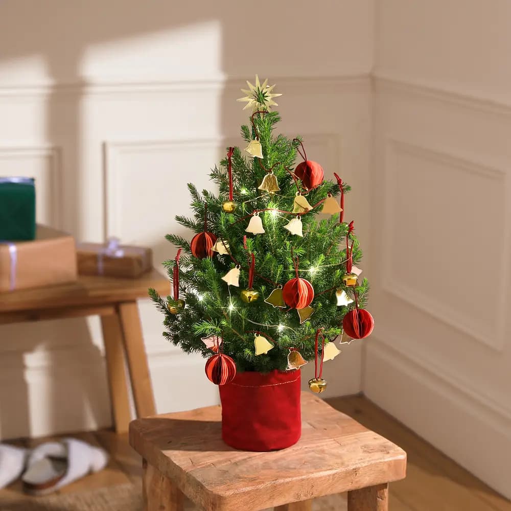 Sustainable Mini Christmas Tree with festive decorations, lights and charitable donation.  