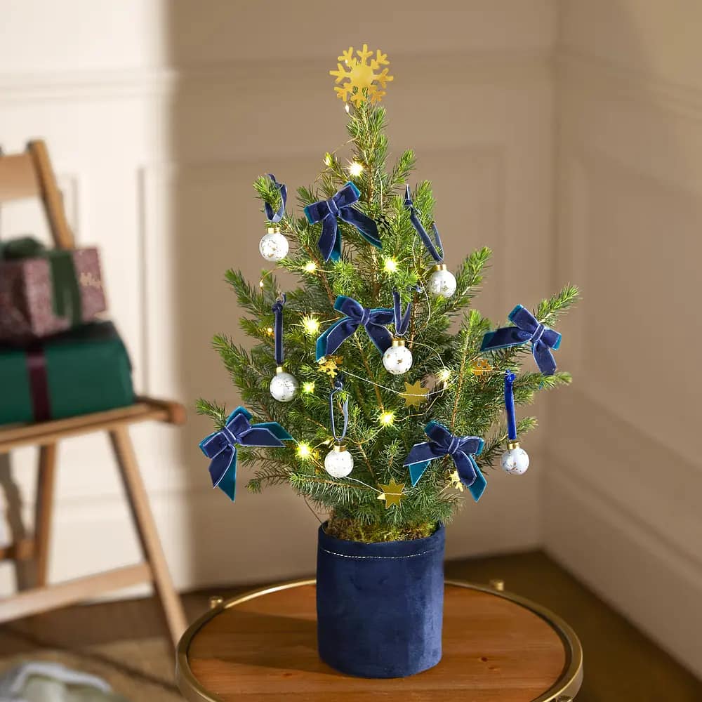 Festive letterbox mini Christmas Tree with lights, decorations and charitable meal donation. 